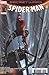 Secret Wars : Spider-man #2