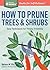 How to Prune Trees  Shrubs: Easy Techniques for Timely Trimming