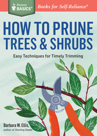 How to Prune Trees  Shrubs: Easy Techniques for Timely Trimming