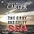 The Gray and Guilty Sea (Garrison Gage, #1)