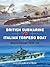 British Submarine vs Italian Torpedo Boat by David Greentree