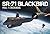 SR-71 Blackbird