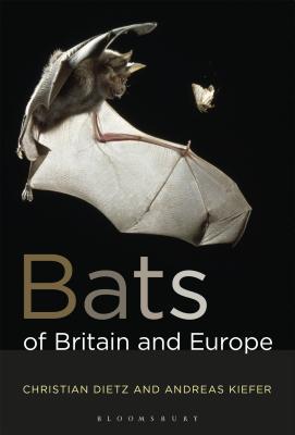 Bats of Britain and Europe (Paperback)