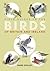 Field Guide to the Birds of Britain and Ireland