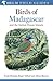 Birds of Madagascar and the Indian Ocean Islands (Helm Field Guide)
