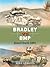 Bradley vs BMP: Desert Stor...