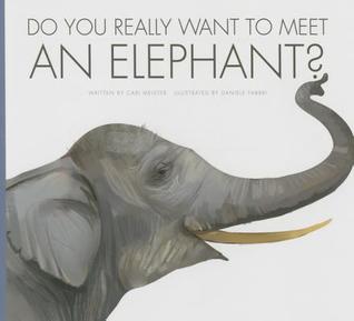 Do You Really Want to Meet an Elephant? (Do You Really Want to Meet Wild Animals?)