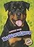 Rottweilers (Awesome Dogs)