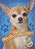Chihuahuas (Awesome Dogs)