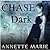 Chase the Dark (Steel & Stone, #1) by Annette Marie