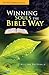 Winning Souls The Bible way