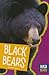 Black Bears (Wild Bears)