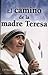 Camino de La Madre Teresa (Spanish Edition)