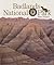 Badlands National Park (Preserving America)