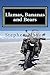 Llamas, Bananas and Bears by Stephen  Mason