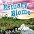 Seasons Of The Estuary Biome