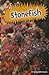 Stonefish (Poisonous Animals)