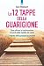 Le 12 tappe della guarigione by Alain Moenaert