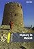 Mystery in Muscat
