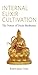 Internal Elixir Cultivation: The Nature of Daoist Meditation