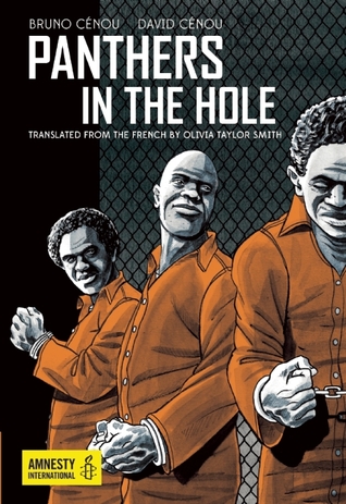 Panthers in the Hole (Paperback)