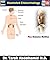 Illustrated Endocrinology: ...