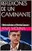 REFLEXIONES DE UN CAMINANTE by Ana Molina