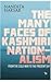 The Many Faces of Kashmiri Nationalism : From the Cold War to the Present Day [Paperback] Nandita Haksar