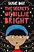The Secrets of Billie Bright by Susie Day