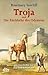 Troja und die Rückkehr des Odysseus