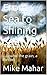 From Sea to Shining Sea by Mike Mahar