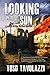 Looking into the Sun: A Novel of the Syrian Conflict