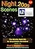 Nightscenes