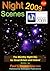Nightscenes