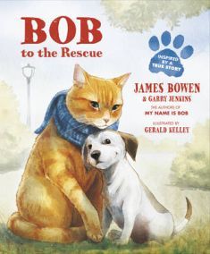 Bob to the Rescue: An Illustrated Picture Book (Paperback)