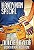 Handyman Special (Worth Fixing Book 1)