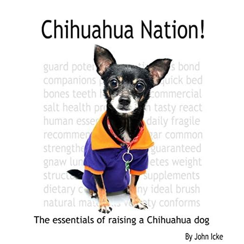 chihuahua essentials