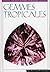 Gemmes Tropicales