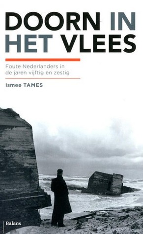 Doorn in het vlees: foute Nederlanders in de jaren vijftig en zestig (Hardcover)