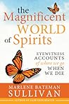 The Magnificent World of Spirits: Eyewitness Accounts of Where We Go When We Die The Magnificent World of Spirits: Eyewitness Accounts of Where We Go When We Die