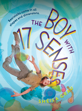 The Boy with 17 Senses (Hardcover)