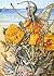 Counted Cross Stitch Pattern: "The Horned Poppy Fairy" by Cicely Mary Barker: Flower Fairies (The Flower Fairy Series)