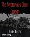 The Mysterious Bl...
