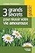 3 grands secrets pour réussir votre vie amoureuse (French Edition)
