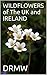 WILDFLOWERS of The UK and IRELAND