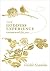 (The Goddess Experience by Gisèle Scanlon