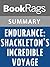 Summary & Study Guide Endurance by BookRags