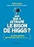 Mais qui a attrapé le bison de Higgs ? by David Louapre Mais qui a attrapé le bison de Higgs ? by David Louapre