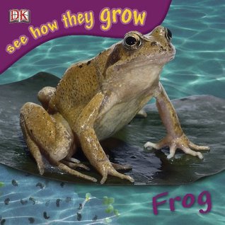 Frog (Paperback)