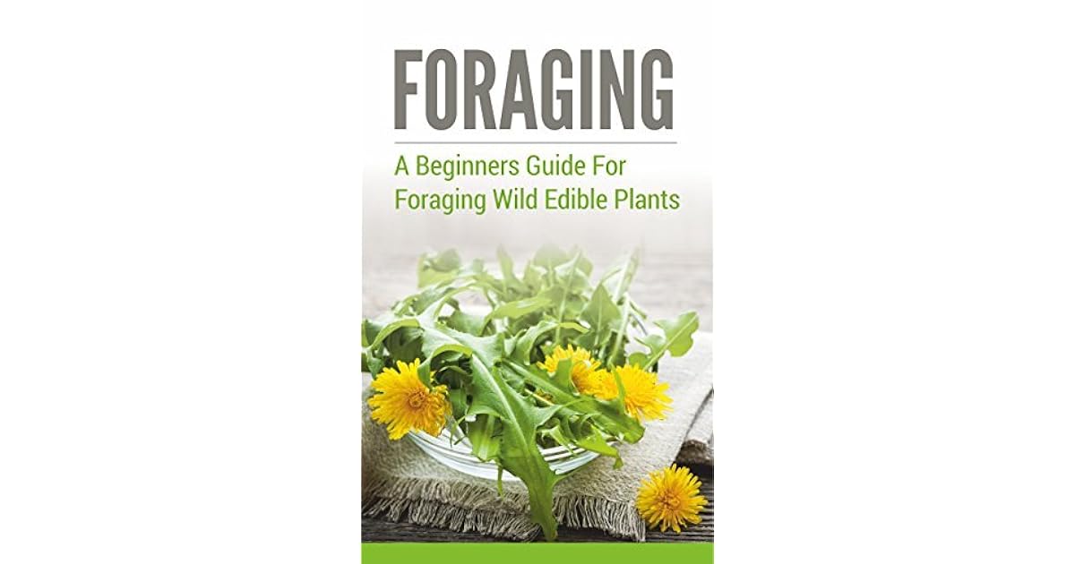 Foraging: A Beginners Guide to Foraging Wild Edible Plants by Jerry Stewart